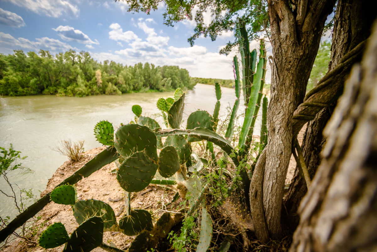 Best of Brownsville community area image of our region